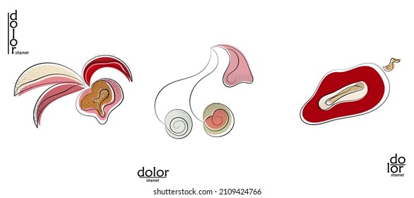 Abstract hand drawn vector artistic logo set isolated on white. Line art artistic illustration with texture. Retro flat colors organic natural Eco food design. Organic healthy vegan doodle.