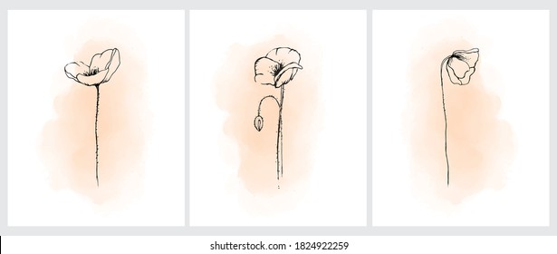 Abstract Hand Drawn Vector Illustration with Black Sketched Poppies Isolated on a Light Cream Background. Modern Floral Print Ideal for Wall Art, Poster, Card and Invitation.
