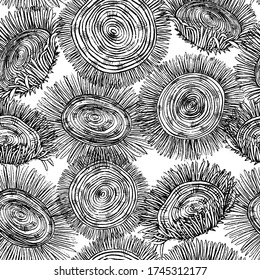 Abstract hand drawn vector seamless pattern. Stylized sunflowers wallpaper. Decorative floral background in vintage, boho style. Monochrome outline design for wrapping paper, prints, fabric, textile. - Powered by Shutterstock - Get 15% off with code: PIKWIZARD15