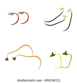 Abstract hand drawn vegetables on white background