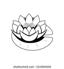 Abstract Hand Drawn Water Lily Flower Plant Botanic Floral Nature Bloom Doodle Concept Vector Design Outline Style On White Background Isolated