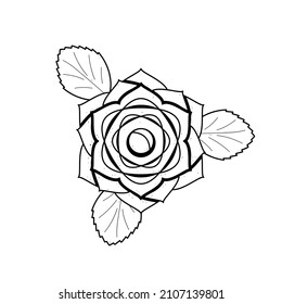 Abstract Hand Drawn Water Rose Flower Plant Botanic Floral Nature Bloom Doodle Concept Vector Design Outline Style On White Background Isolated