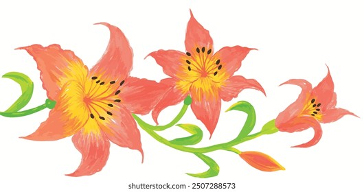 abstract hand drawn watercolor rain lilies isolated on white background. vintage flower illustration.