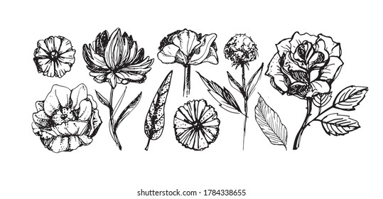 Abstract hand dtawn floral template set. Leaf and flower art for pattern, background, fabric, t-shirt design.
