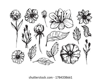 Abstract hand dtawn floral template set. Leaf and flower art for pattern, background, fabric, t-shirt design.