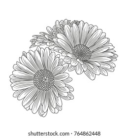 Abstract hand-drawn  flower chamomile. Element for design. Vector illustration.