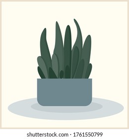 Abstract handmade plant illustration. Hand drawn plant for use in design for home interior prints, flower shop decor, wallpaper, bag or t-shirt print etc.