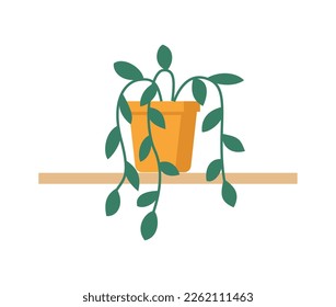 Abstract hanging houseplant in flowerpot on wall shelf for decorating house or apartment. Flat foliage hoya for modern office or home decor illustration. Cute green flower for urban jungle garden