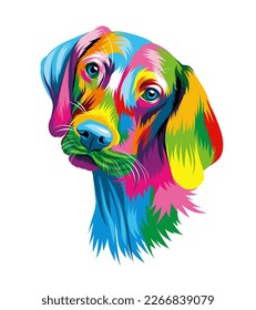 Abstract head portrait of a hungarian vizsla dog from multicolored paints. Colored drawing. Puppy muzzle portrait, dog muzzle. Vector illustration of paints