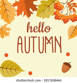 Abstract Hello Autumn Background with Falling Leaves, Rowan and Acorn. Vector Illustration EPS10