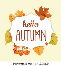 Abstract Hello Autumn Background with Falling Leaves, Rowan and Acorn. Vector Illustration EPS10