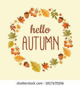 Abstract Hello Autumn Background with Falling Leaves, Rowan and Acorn. Vector Illustration EPS10