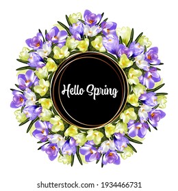 Abstract hello spring background, delicate spring crocus flowers collected in a floral bouquet frame