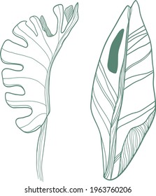 Abstract herb. Vector freehand linear ink drawn backdrop sketchy in art scribble style