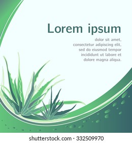 Abstract herbal background template. Fresh elegant background with green leaves, a swirl and drops.