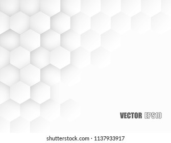 Abstract. Hexagon , honeycomb white Background ,light and shadow. copy space .Vector