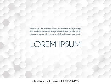 Abstract hexagon , honeycomb white Background, light and shadow. Hexagon shape geometric abstract frame, crystal beautiful background, white space wallpaper, technology digital web vector design. 