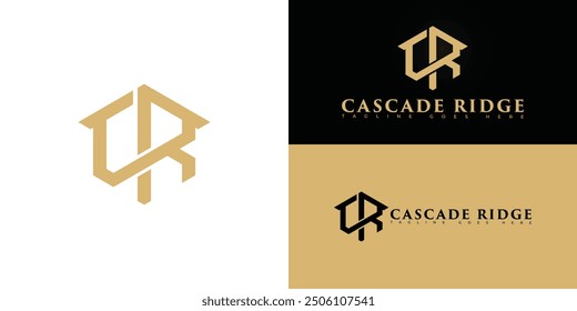 Abstract hexagon initial letter CR or RC in gold color isolated on multiple background colors. The logo is suitable for luxury home community logo design inspiration templates.