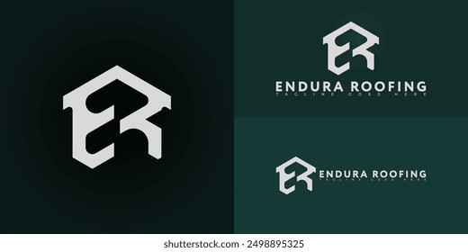 Abstract hexagon initial letter ER or RE in silver-white color isolated on multiple background colors. The logo is suitable for roofing company logo design inspiration templates.