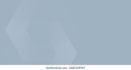 Abstract hexagon lines on gray background natural art. Modern simple good