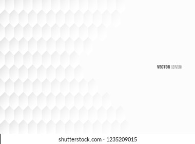 Abstract. Hexagon white Background ,light and shadow. copy space .Vector