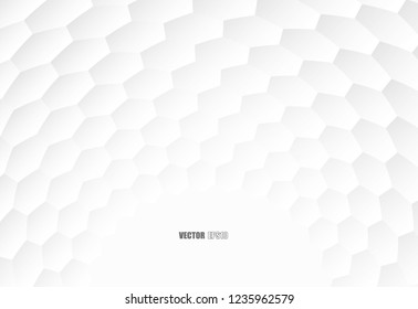 Abstract. Hexagon white Background ,light and shadow. copy space .Vector