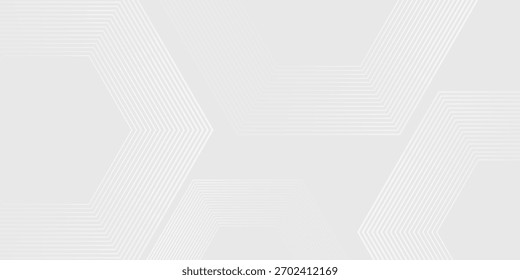 Abstract hexagon white and gray light technology with texture background.