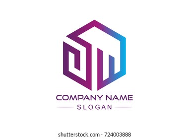 abstract hexagonal line colorful logo concept