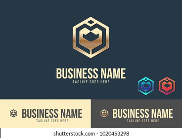 Abstract Hexagonal Logo Template Design Vector Illustration