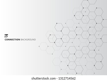Abstract hexagons with nodes digital geometric with black lines and dots on white background. Technology connection concept. Vector illustration