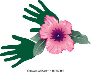 abstract hibiscus