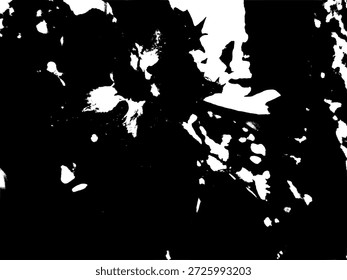 Abstrato alto contraste preto e branco Adenium flor silhueta. Ilustração gráfica botânica Edgy com splatters artísticos para estêncil moderno, impressão têxtil e elementos de arte floral.