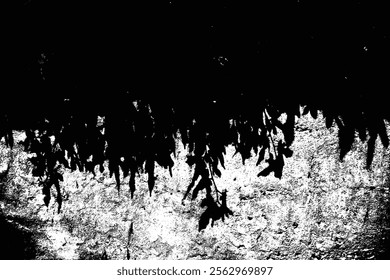 Abstract High-Contrast Silhouette of Hanging Leaves on a Textured Wall Background