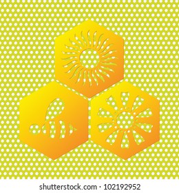 Abstract honey background and polygon with symbol of bee, sun, flower.