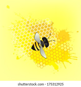 Abstract honey bee honeycomb . Vector