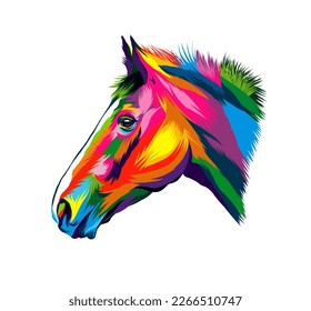 Abstract Horse head portrait from multicolored paints. Splash of watercolor, colored drawing, realistic. Vector illustration of paints