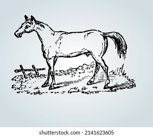 Abstract horse with shading techniques for illustration