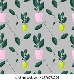 Abstract houseplants seamless pattern. vector endless texture on grey background. Colorful pattern for design wrapping paper, wallpaper, fabric, textile etc