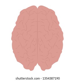 Abstract human brain