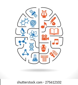Abstract human brain with the icons of art and science. The concept of work left and right sides of the human brain. Back to school icons. File is saved in AI10 EPS version.