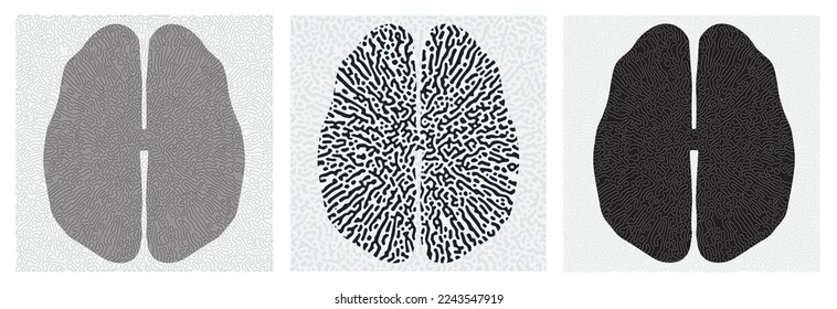 Abstract human brain top view reaction biology diffusion turing pattern in square frame design. Vector illustration.  