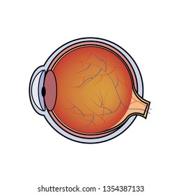 Abstract human eye