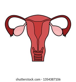 Abstract human fallopian tube