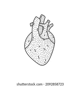 Abstract human heart icon in doodle style isolated vector illustration on white transparent background.