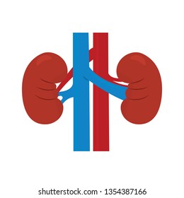 Abstract human kidney