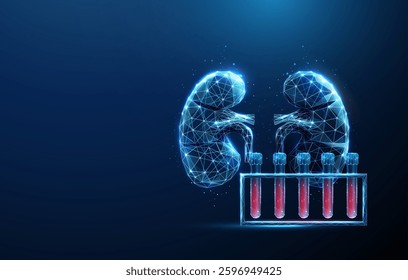 Abstract human kidneys with blood sample rack. Blood analysis and kidneys health, medical diagnostics concept. Low poly style. Geometric background. Wireframe graphic connection structure. Vector.