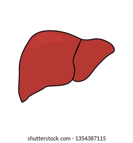 Abstract human liver