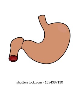 Abstract human stomach