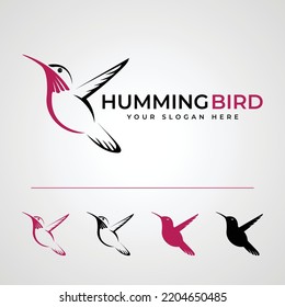 Logo abstracto del pájaro zumbido