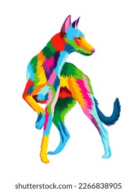 Abstract Ibizan Hound, Podenco ibicenco dog head portrait from multicolored paints. Colored drawing. Vector illustration of paints